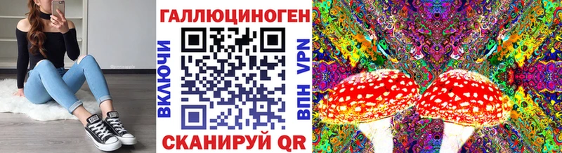 Галлюциногенные грибы Magic Shrooms  Купить  Курчатов 