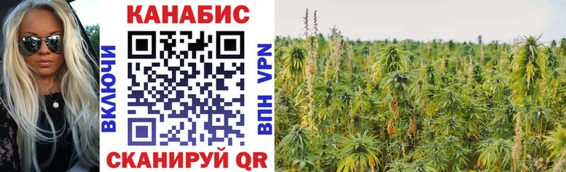Бошки марихуана SATIVA & INDICA Курчатов